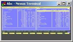 Nexus Terminal